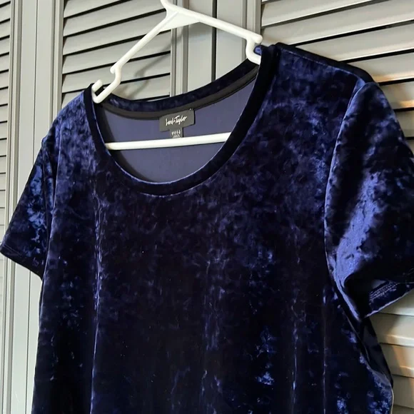 NWT Lord and Taylor : Blue Crushed Velvet Blouse - L - Picture 2 of 9